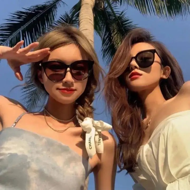 海豚的哭泣